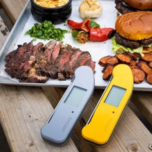 Load image into Gallery viewer, Thermapen®️ ONE Thermometer
